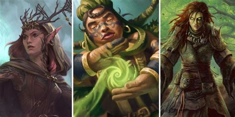 dungeons and dragons slots|The Druid Class for Dungeons & Dragons (D&D) Fifth .